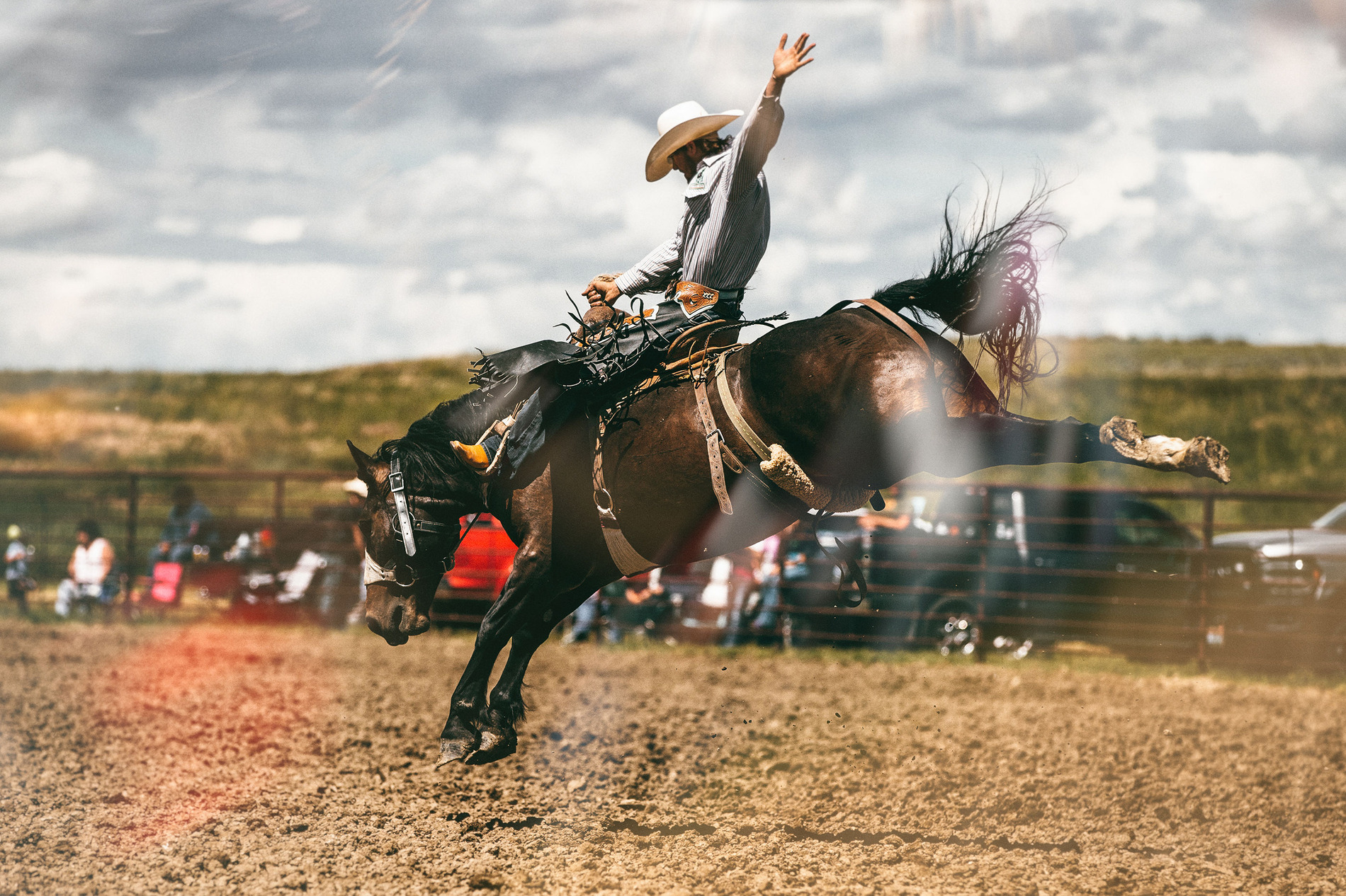 Sankey Pro Rodeo & Phenon Genetics - 406 Chris Douglas